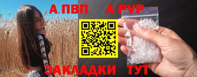 ECSTASY Камышлов