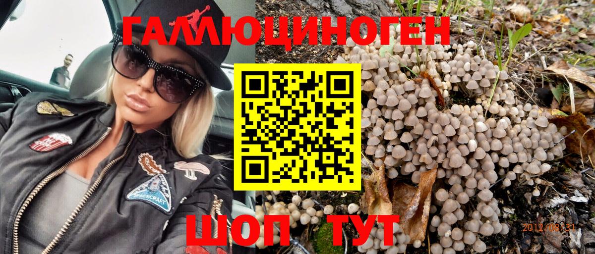Псилоцибиновые грибы GOLDEN TEACHER  Псилоцибиновые грибы Psilocybine cubensis  Вход с VPN  Североуральск 